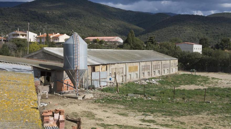 Sancionen una granja de Cantallops per funcionament irregular de l’activitat ramadera