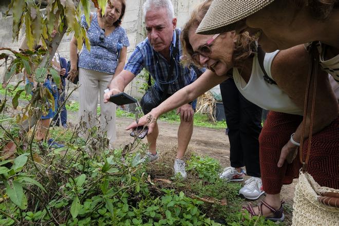 Los mayores de Las Palmas de Gran Canaria se van de ruta urbana