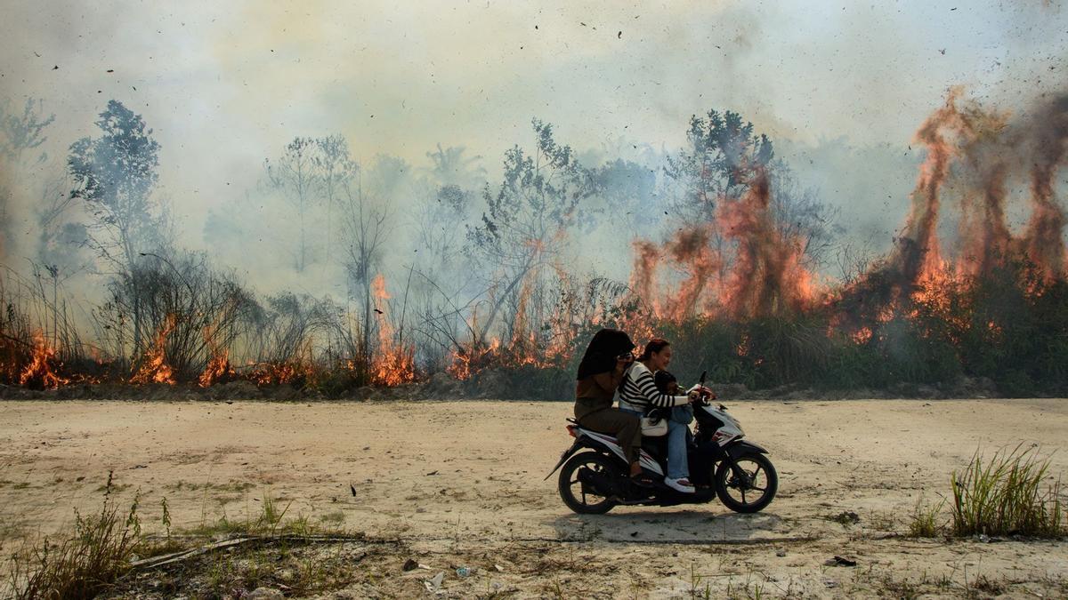 Una moto pasa junto a un bosque en llamas en Indonesia