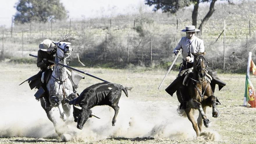 Acoso y derribo, el deporte de campo que une a las figuras del toreo en Olivenza