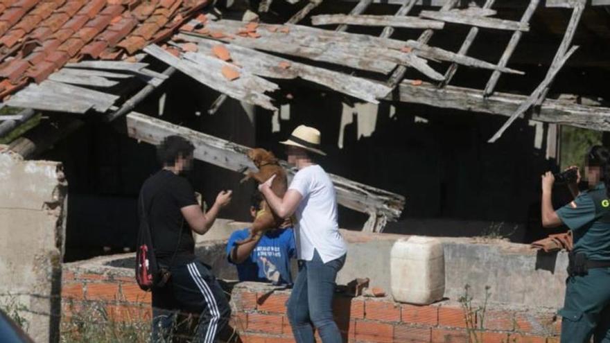 Maltrato animal: Le prohíben tener animales por maltrato y lo detienen con más de 40 en una finca