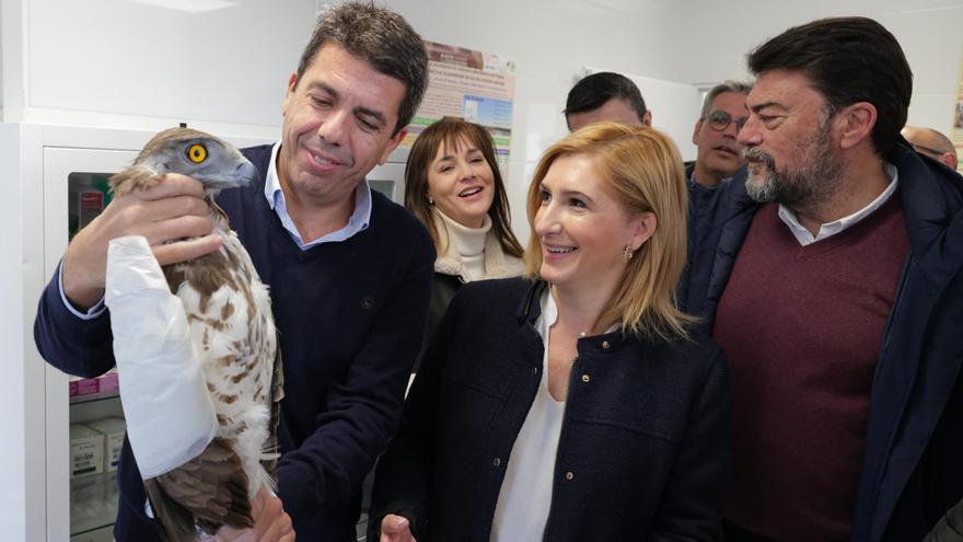 Carlos Mazón anuncia la puesta en marcha de un estatuto del voluntariado en protección animal en la Comunitat Valenciana