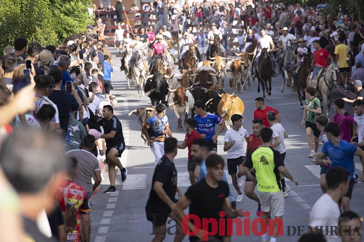Quinto encierro de las Fiestas de Moratalla