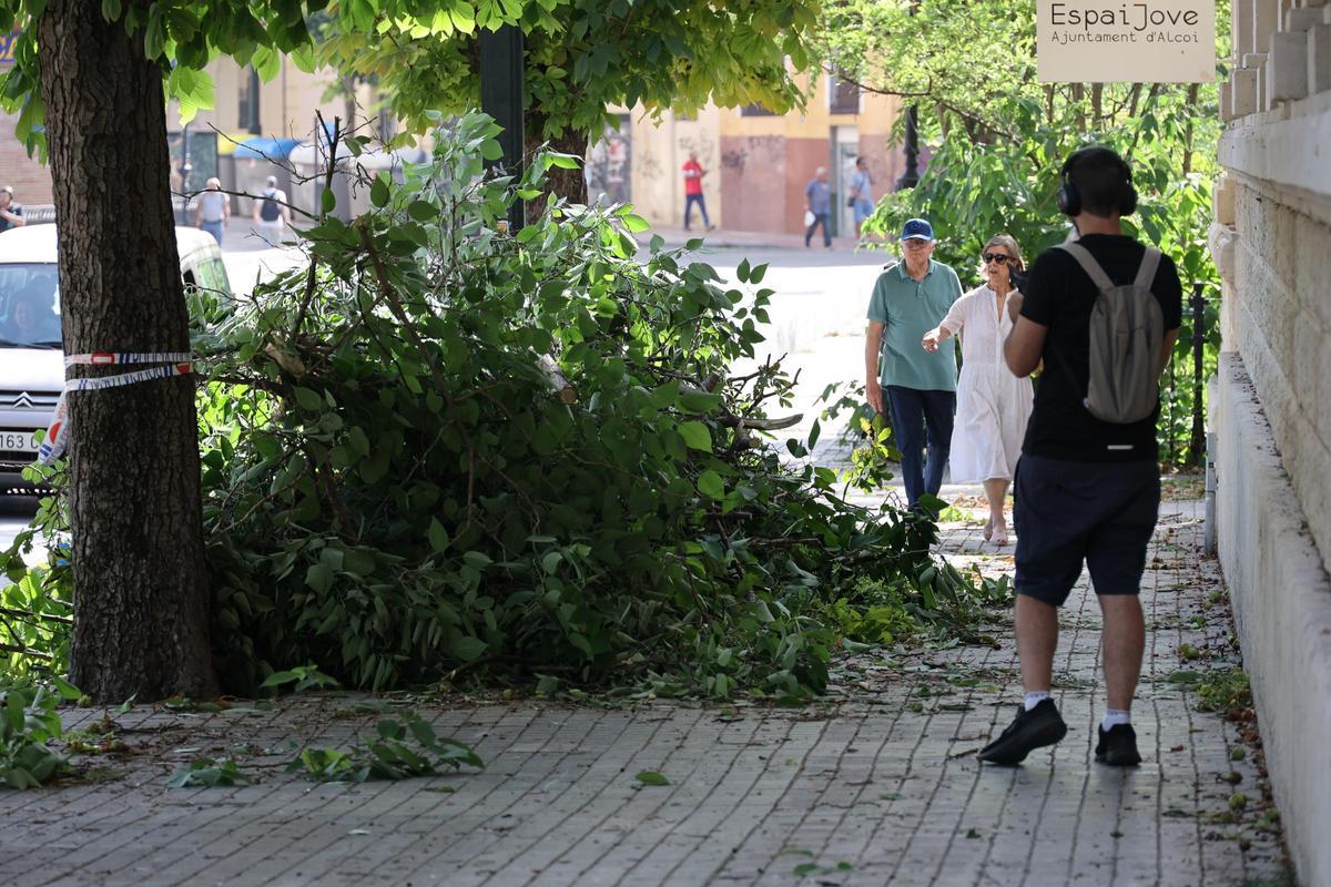 Imágenes del día después en Alcoy tras el temporal