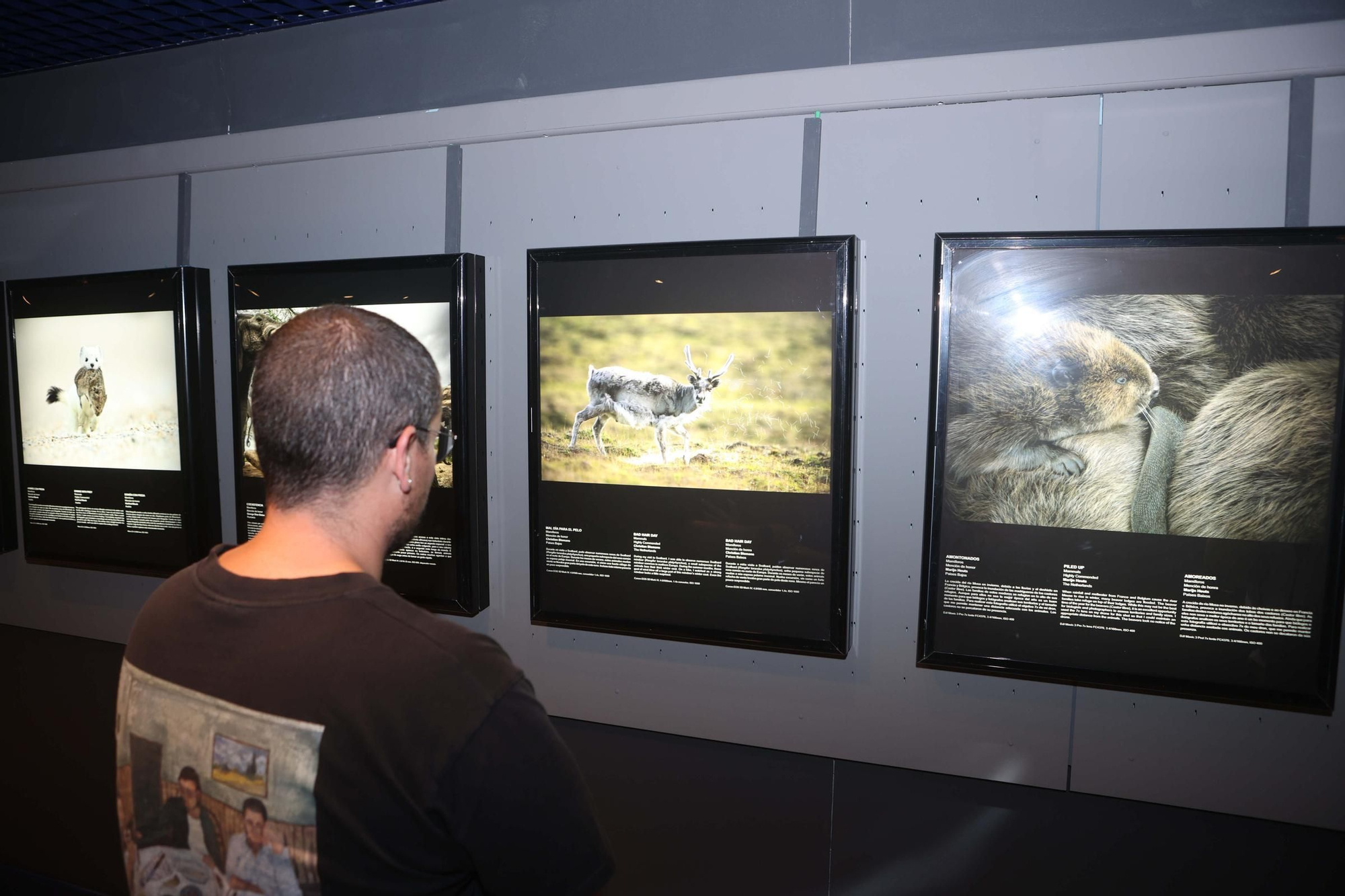 85 fotos forman parte de la exposición 'Fotógrafos na natureza' en el Aquarium