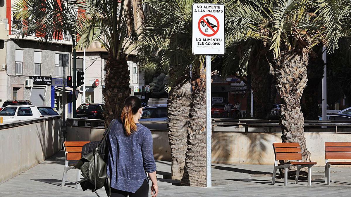 La señalización recuerda que dar de comer está prohibido por la ordenanza municipal. | ANTONIO AMORÓS