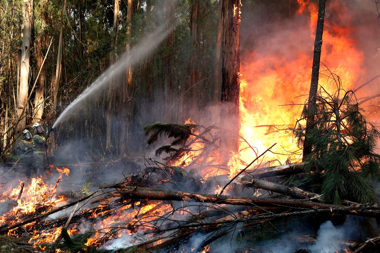 Arbo y Verín, en alerta por incendio