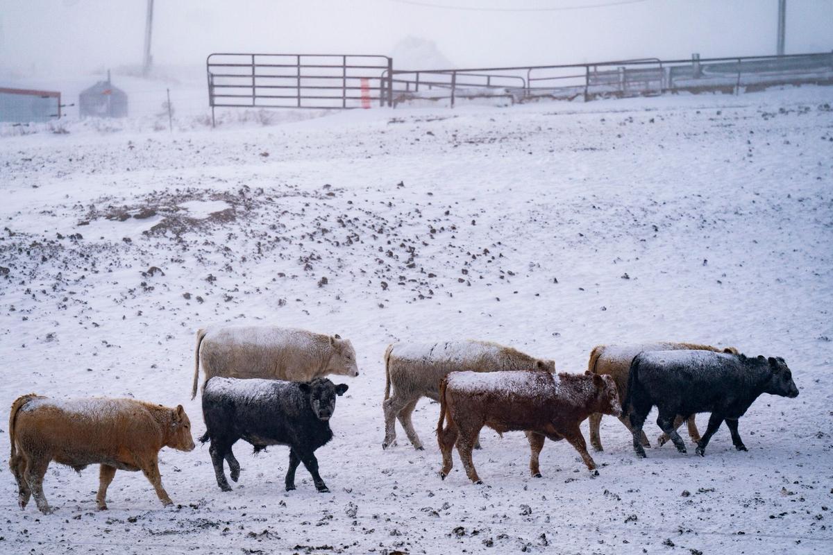 Iowa aguarda sus caucus a 25 grados bajo cero