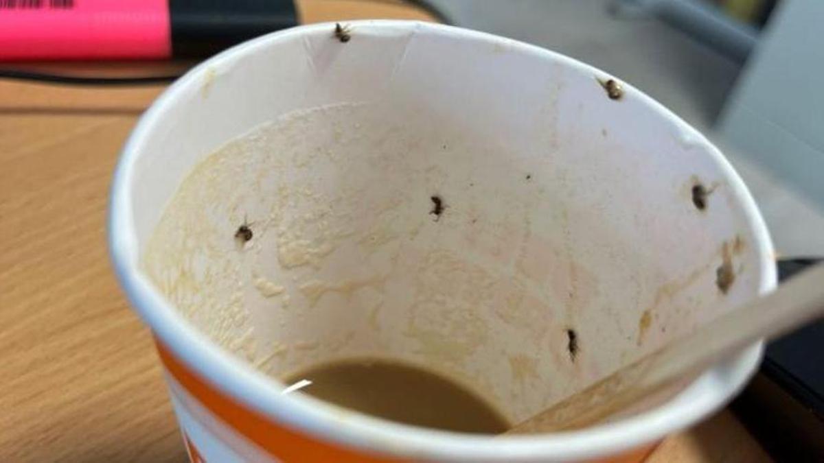 Un cafè de màquina envaït d'insectes.