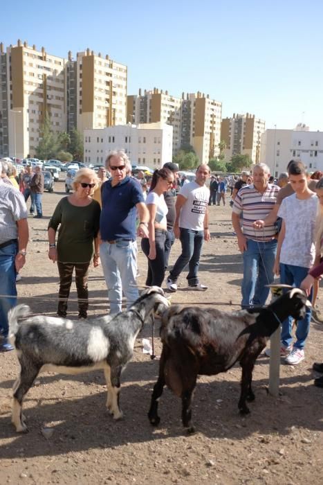 FIESTAS DE JINÁMAR