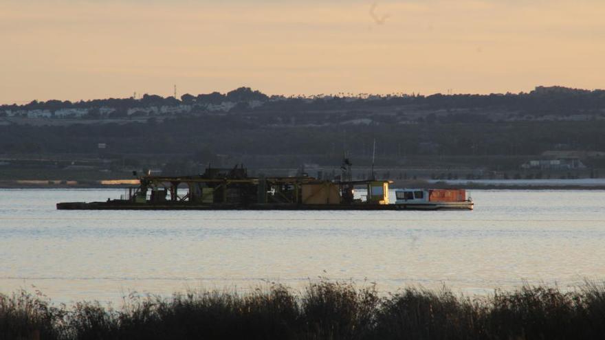 La salinera coloca carteles de prohibición del baño en la laguna de Torrevieja