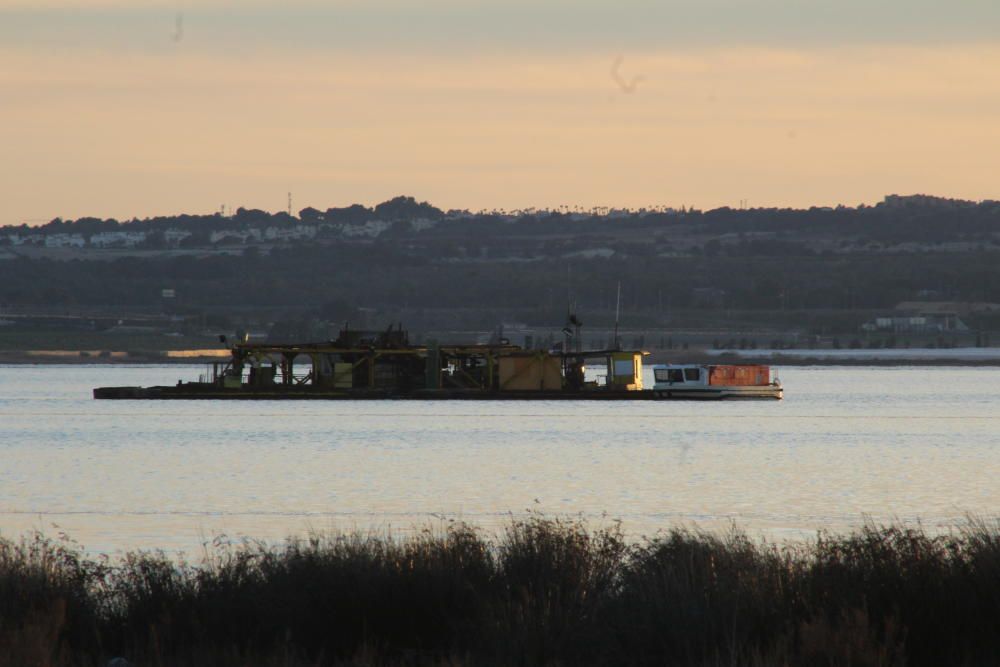 La salinera quiere evitar problemas de seguridad y vertido de residuos en las aguas de la laguna de Torrevieja y recuerda que el baño está prohibido, con nueva cartelería con el logo del Parque Natura