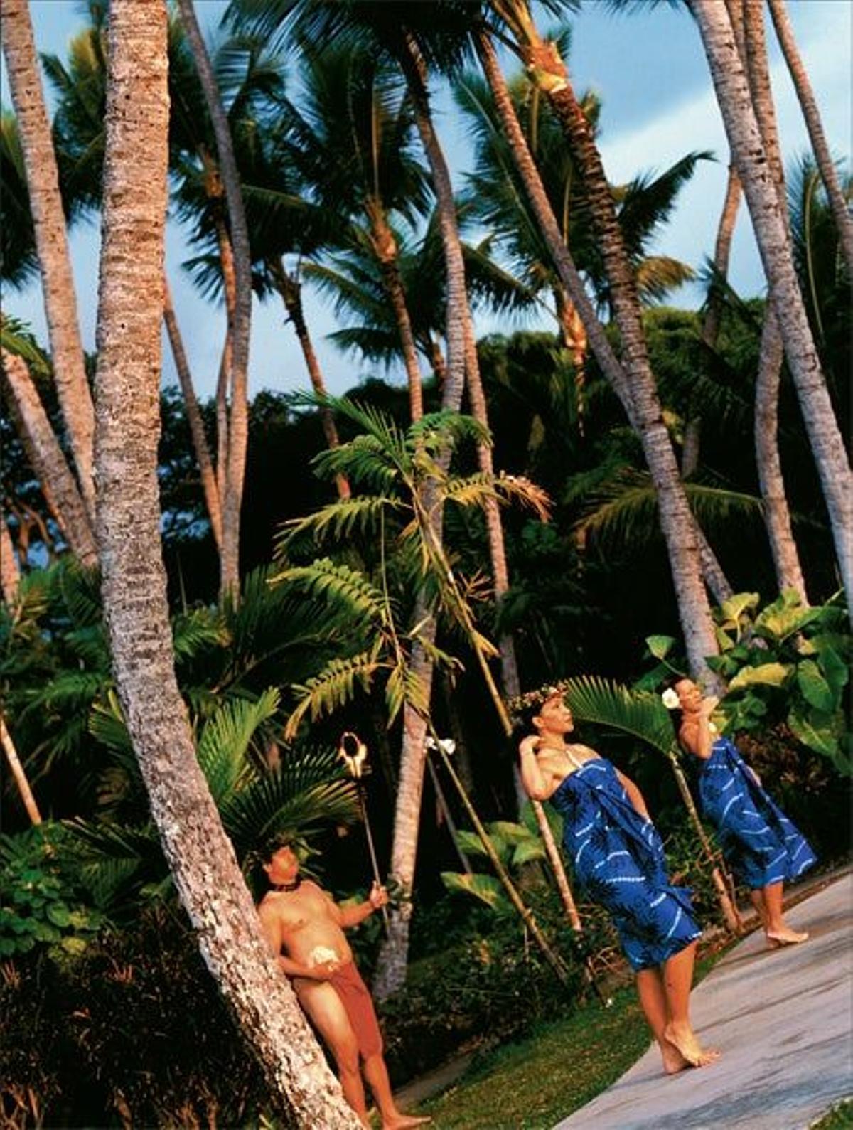 Danzas hawaianas en Big Island, una isla en la que dos de sus cinco volcanes continúan activos, pet