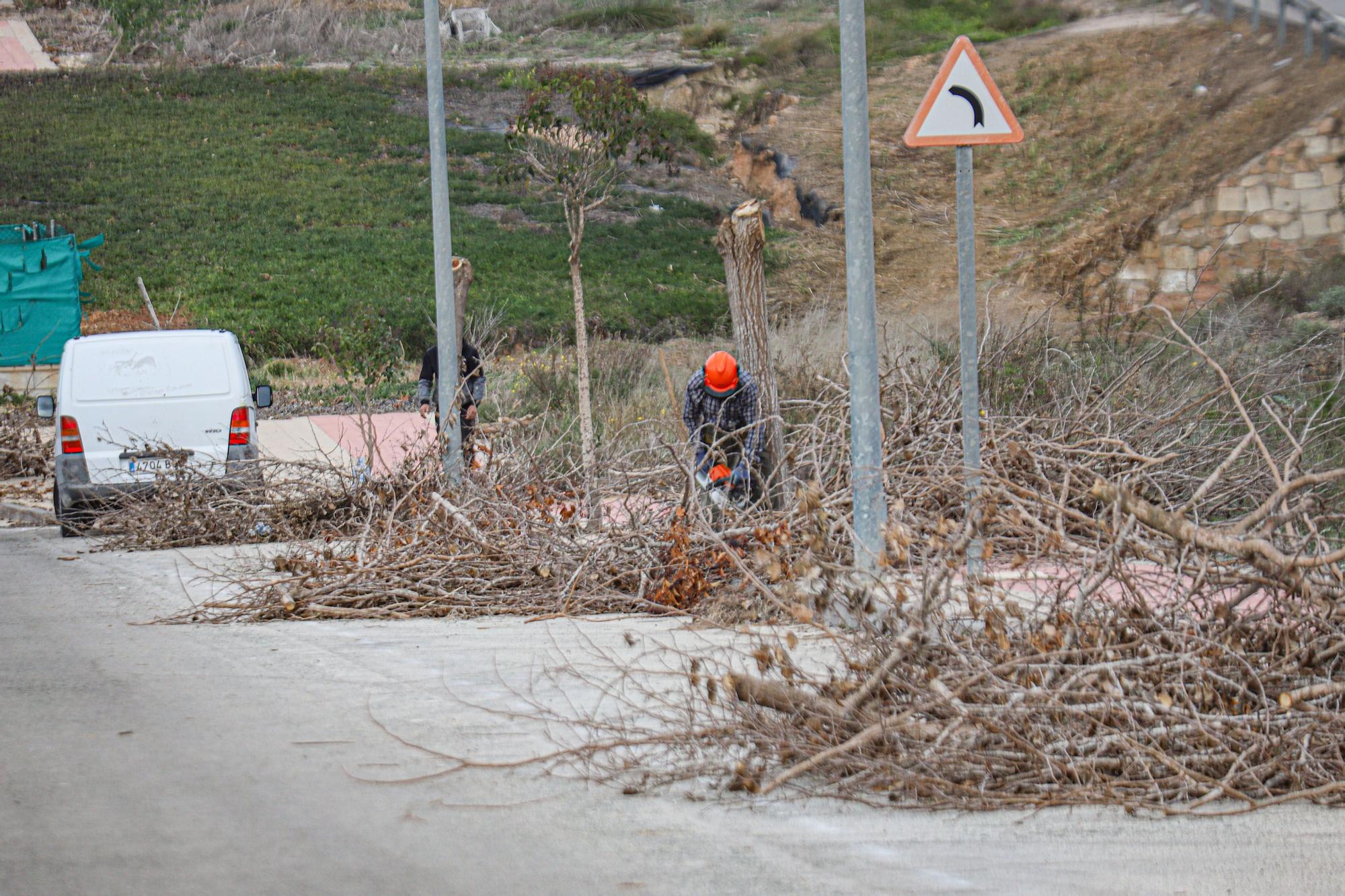 Trabajos de limpieza en la urbanización de Los Invernaderos en San Miguel de Salinas