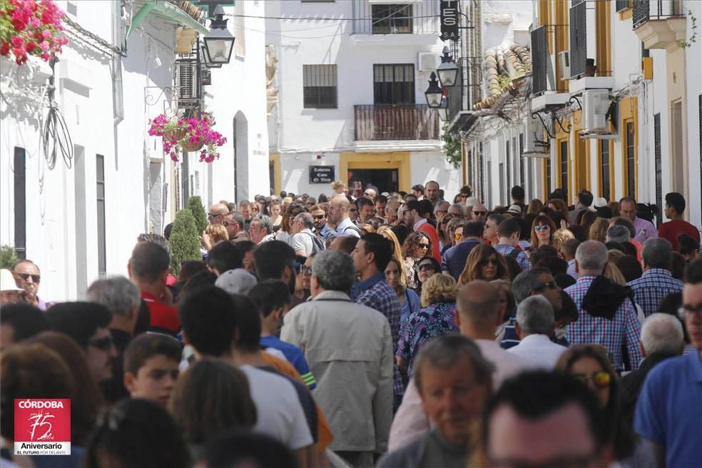 Fotogalería / Arranca la fiesta de los patios