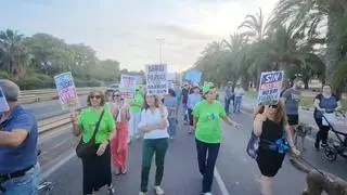 La reivindicación de la retirada de las vías del Parque del Mar de Alicante se vuelve a escuchar en la calle