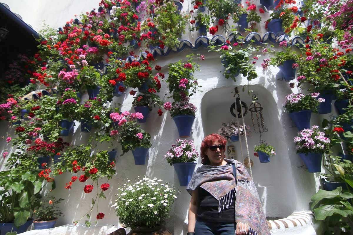 Paseando, patio a patio, por el Alcázar Viejo