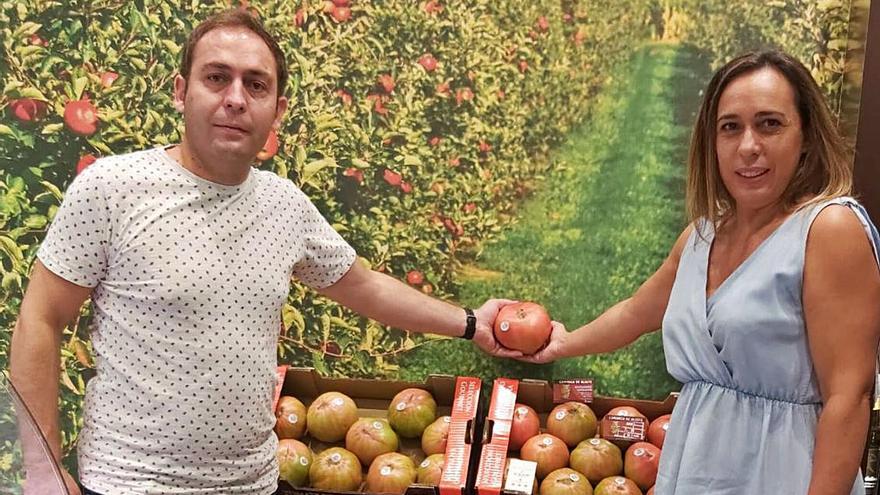 Los productores alistanos abastecen a las ciudades españolas de tomates de temporada