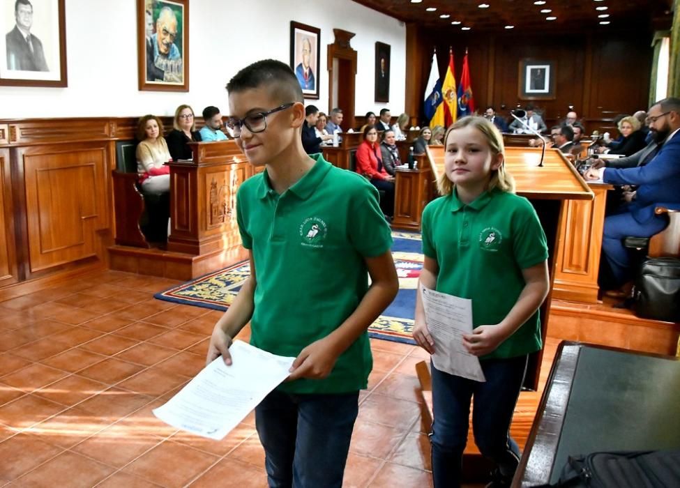 Pleno del Ayuntamiento de Telde