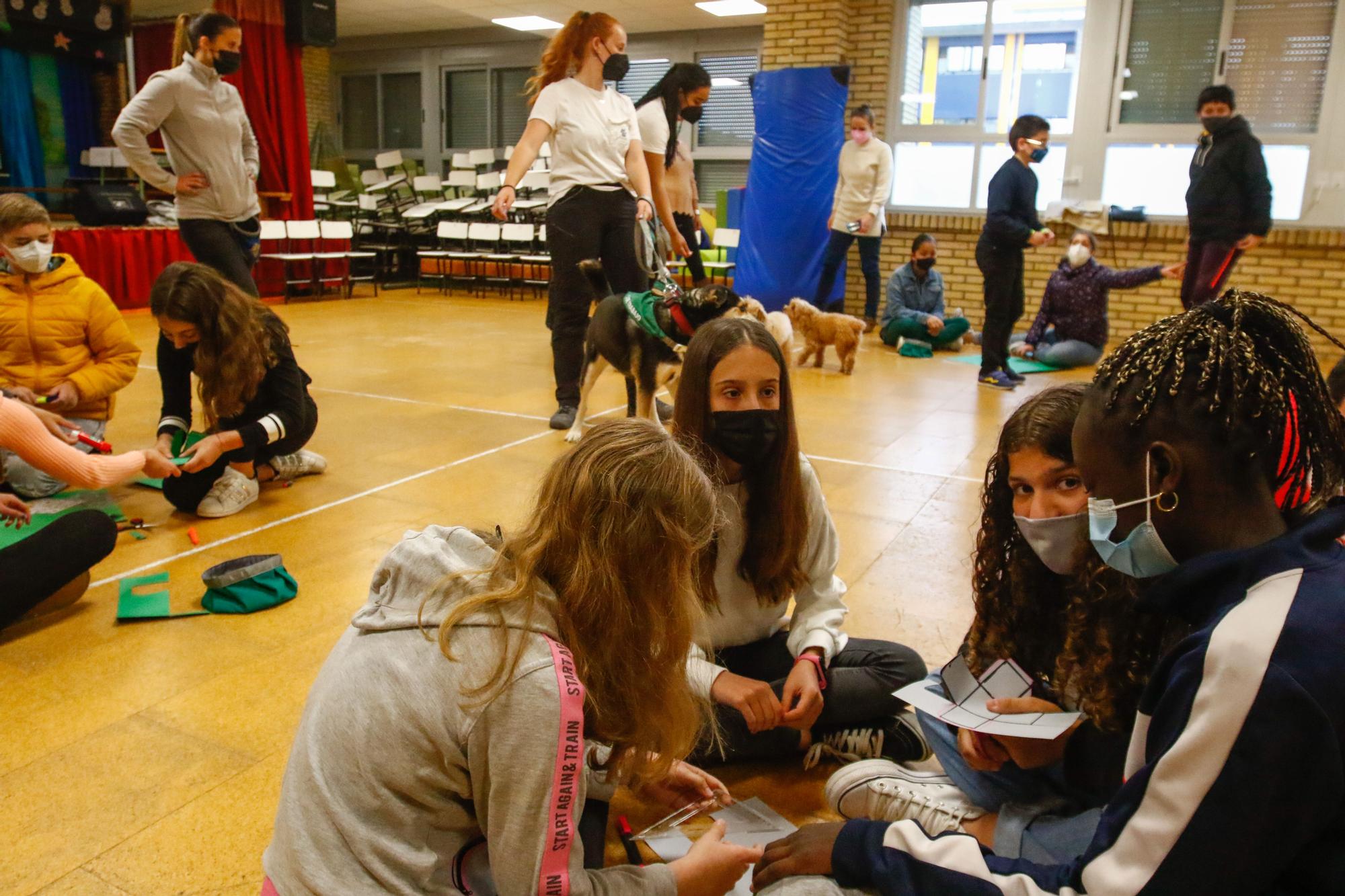 Los alumnos del Arealonga aprenden valores con "profes" caninos