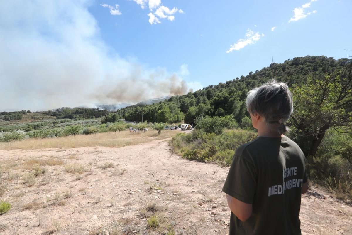 Incendio en la Serra Calderona