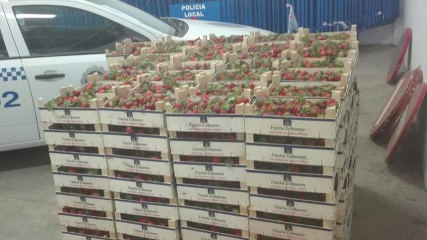 Intervienen en Badajoz más de 650 kilos de fresa vendidas de forma ilegal