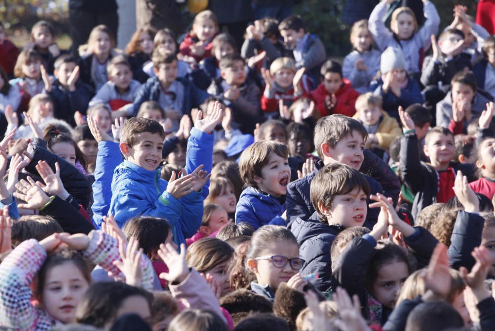 Dia escolar de la no-violència i la pau a Girona