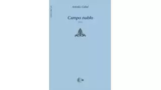Campo nublo