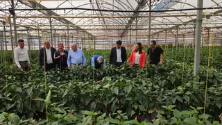 Agricultura destina 20 millones para proteger la agricultura ecológica