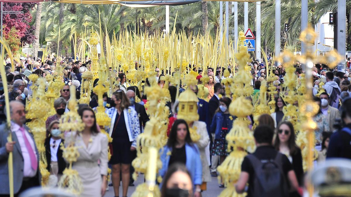 PROGRAMACIÓN DOMINGO DE RAMOS EN ALICANTE | Horario de la bendición de las  Palmas y de las procesiones en Alicante, Elche, Orihuela y Torrevieja