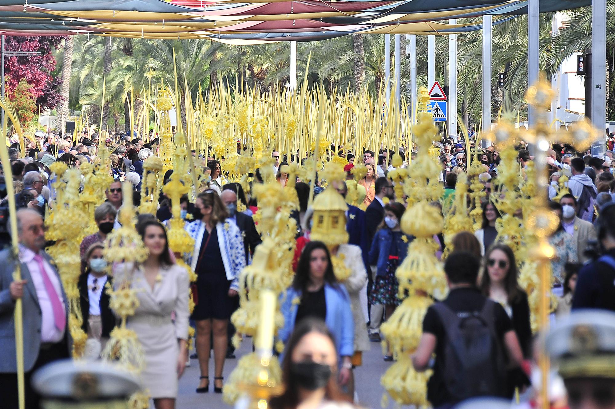 Domingo de Ramos en Elche