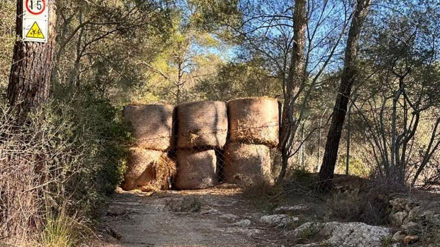 Warum liegt hier eigentlich Stroh? Wie es dazu kam, dass ein offizieller Wanderweg auf Mallorca versperrt wurde