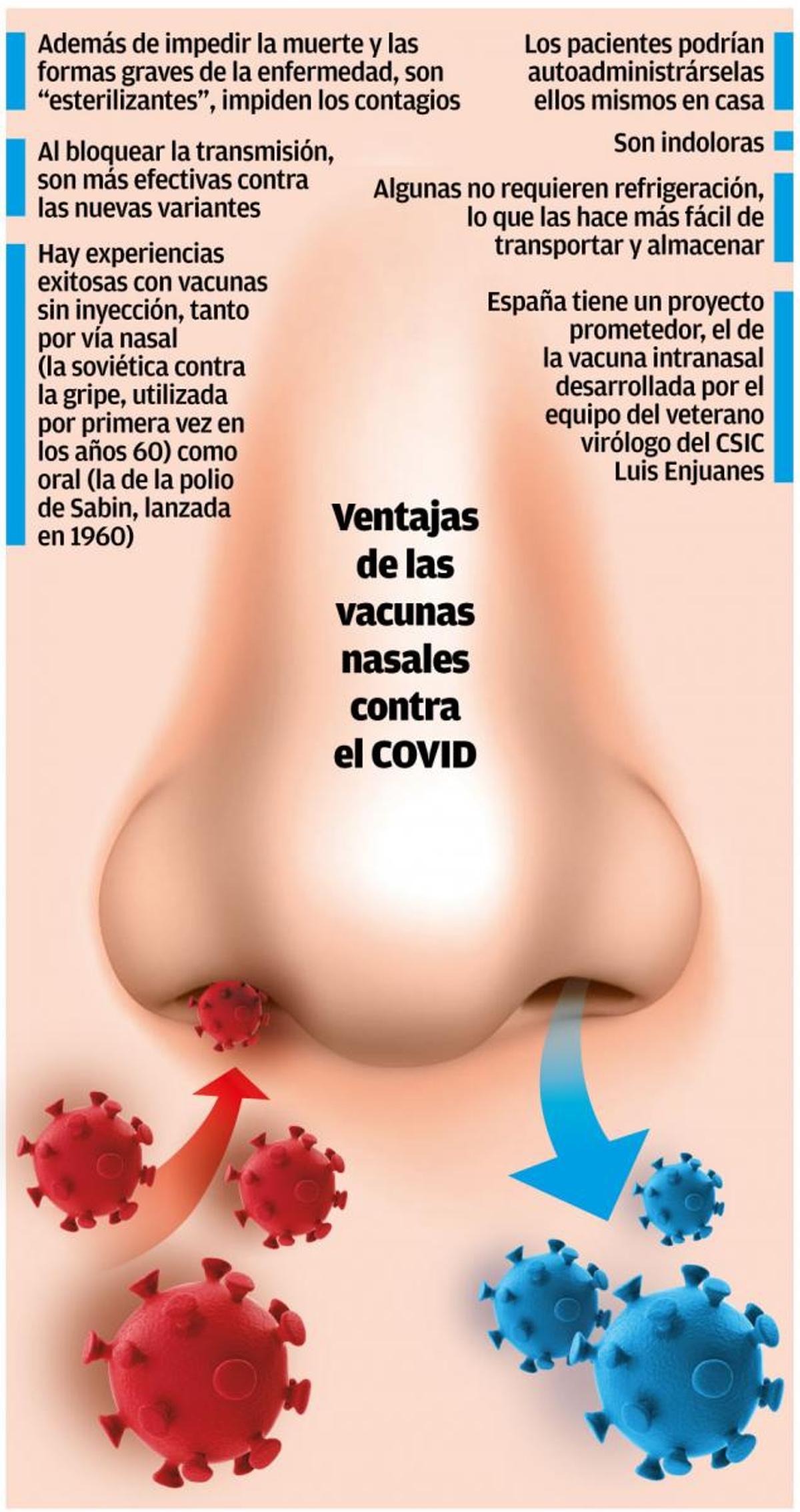 La nariz, vía de entrada y ¿solución?