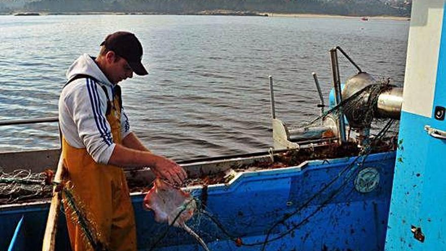 Un pescador retira una raya de los &#039;miños&#039;.