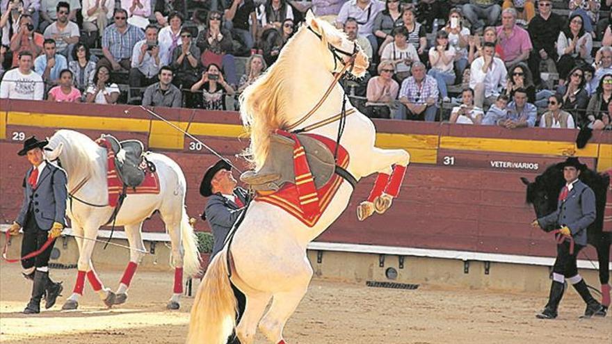 Regresa a Castelló el mejor arte ecuestre llegado de Andalucía