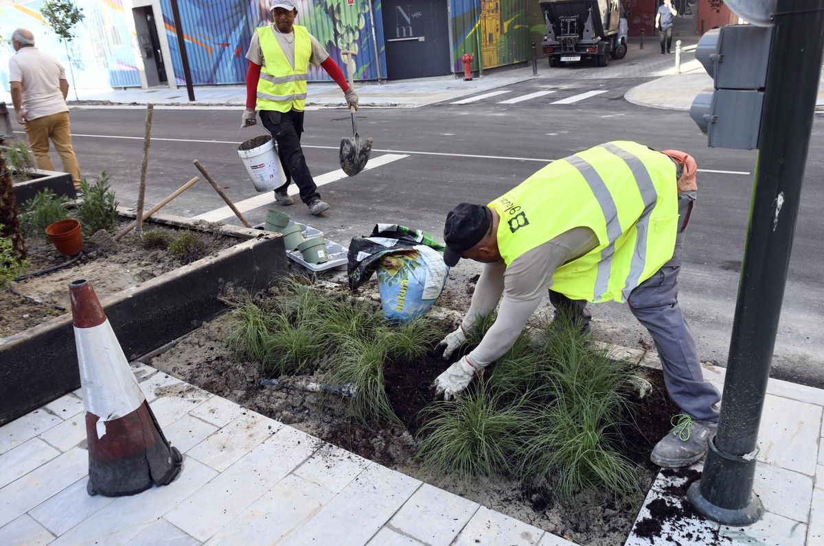 Centenares de árboles y plantas arbustivas se están plantando a lo largo del Corredor Verde del Oeste