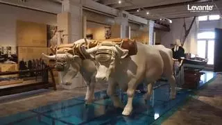 El Museu de la Mar se hace realidad 60 años después para recuperar la memoria de los pescadores de València