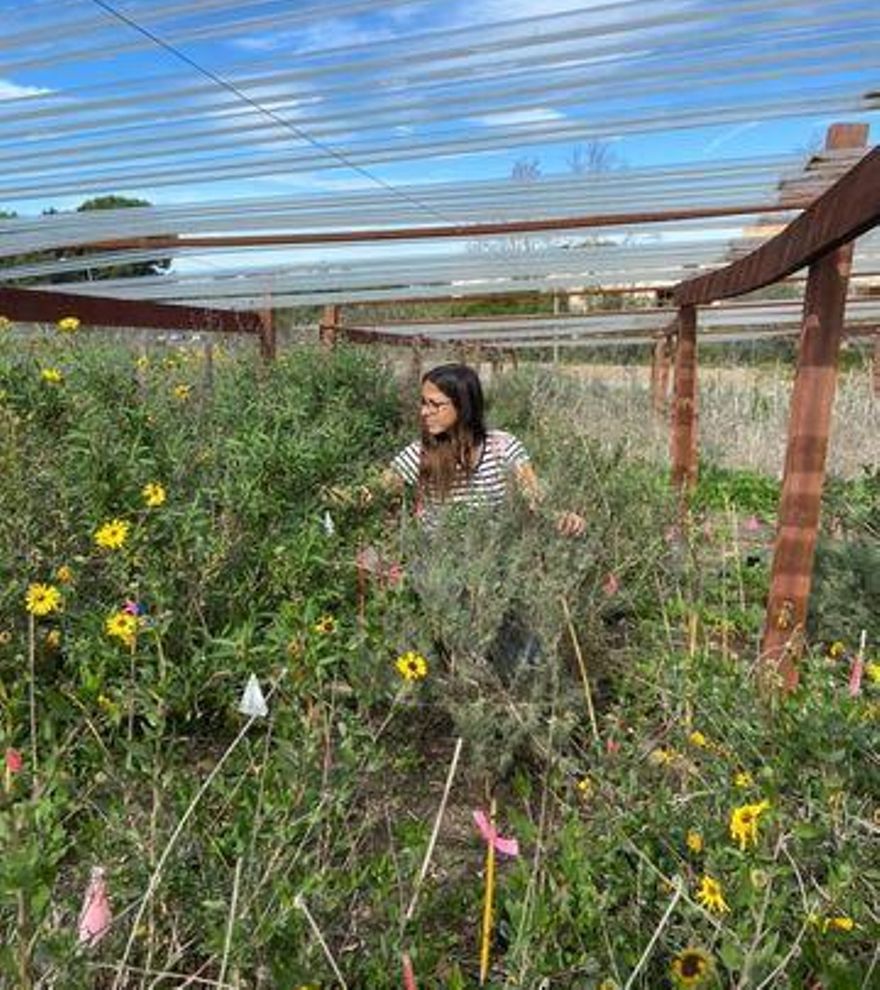 Carla, en uno de los experimentos que desarrolla en California