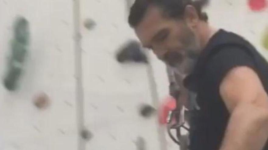 Antonio Banderas exhibe músculo en el rocódromo
