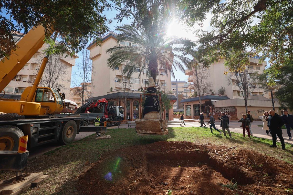 Galería: Todas las imagenes del traslado de la pagesa de Ibzia a su nueva ubicación