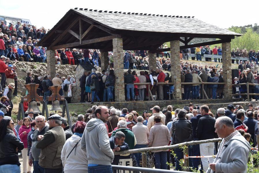 Romería de la Petisqueira