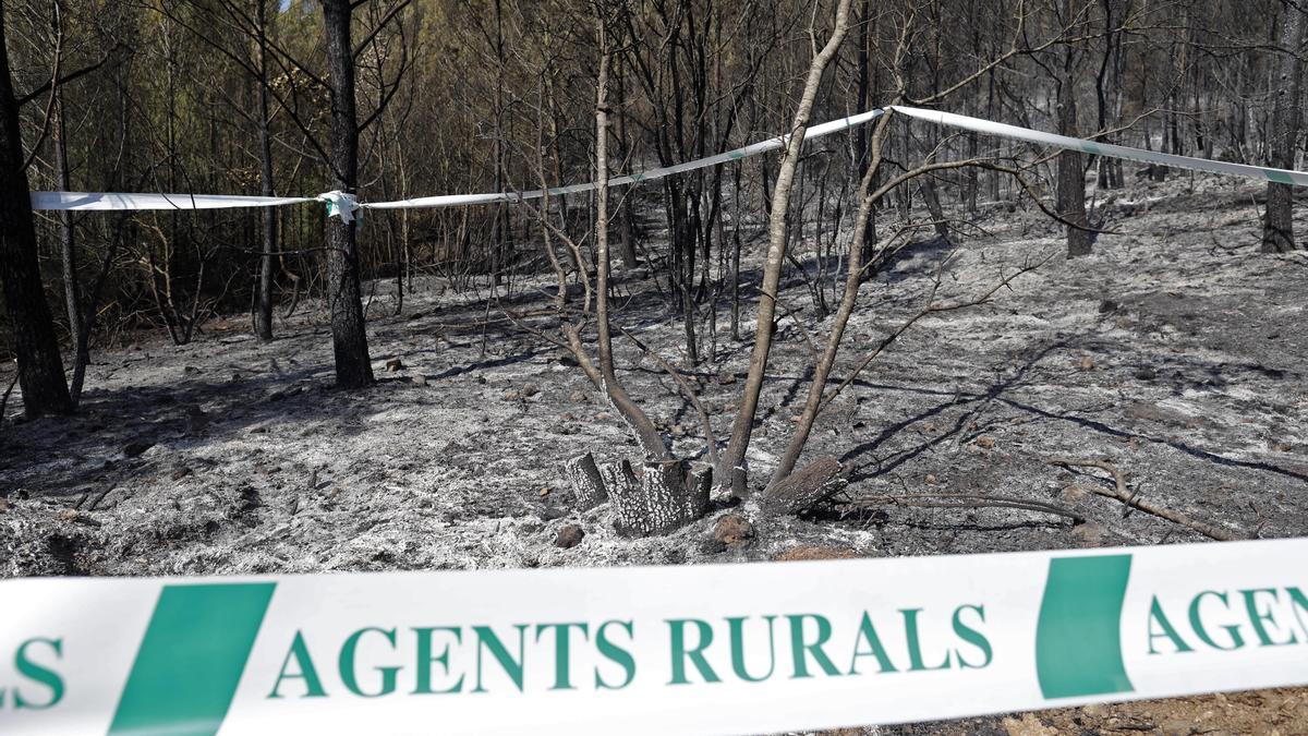 Les imatges de l'incendi de Ventalló i Vilopriu