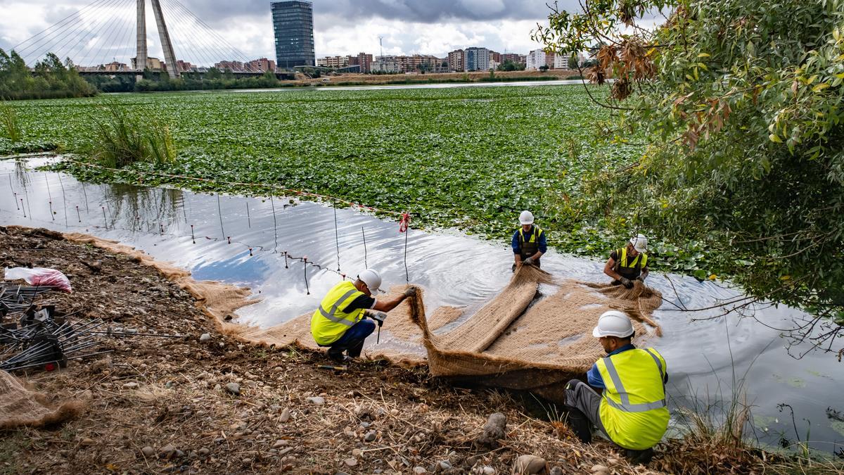 Trabajos en la orilla para colocar la manta vegetal.