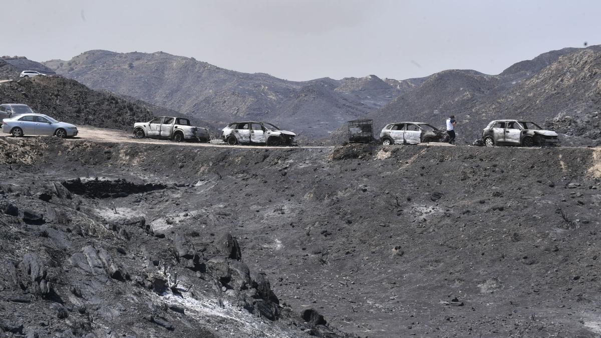 Varios vehículos calcinados en el incendio forestal en Los Gallardos, Almería.
