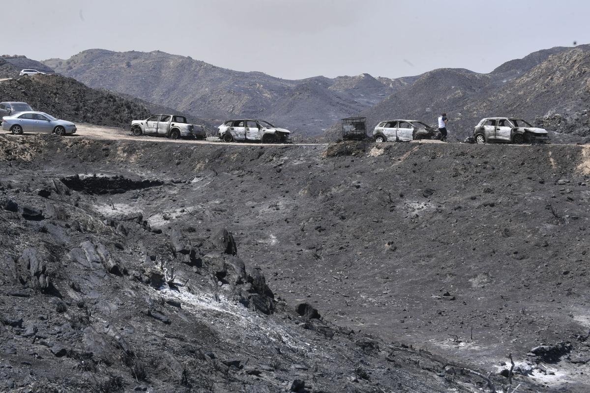 Incendio de Los Gallardos, en imágenes