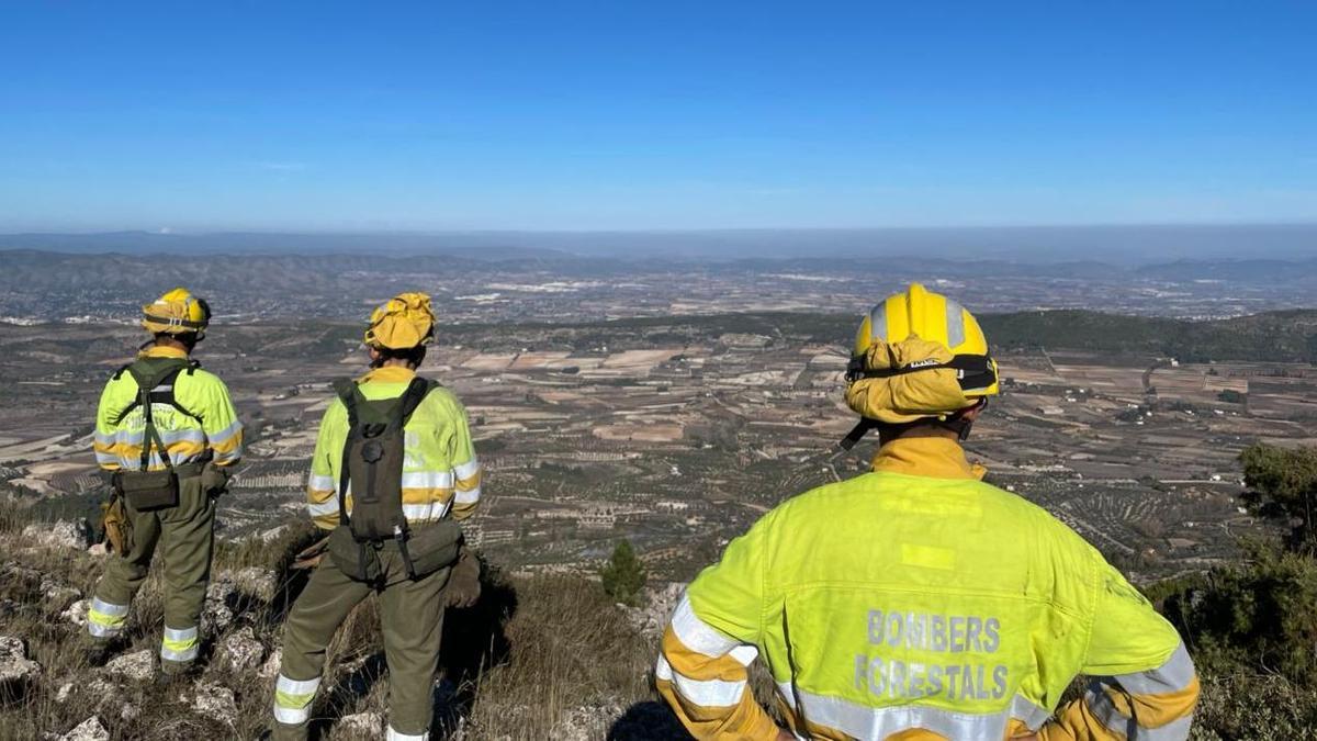 Archivo - Bomberos forestales