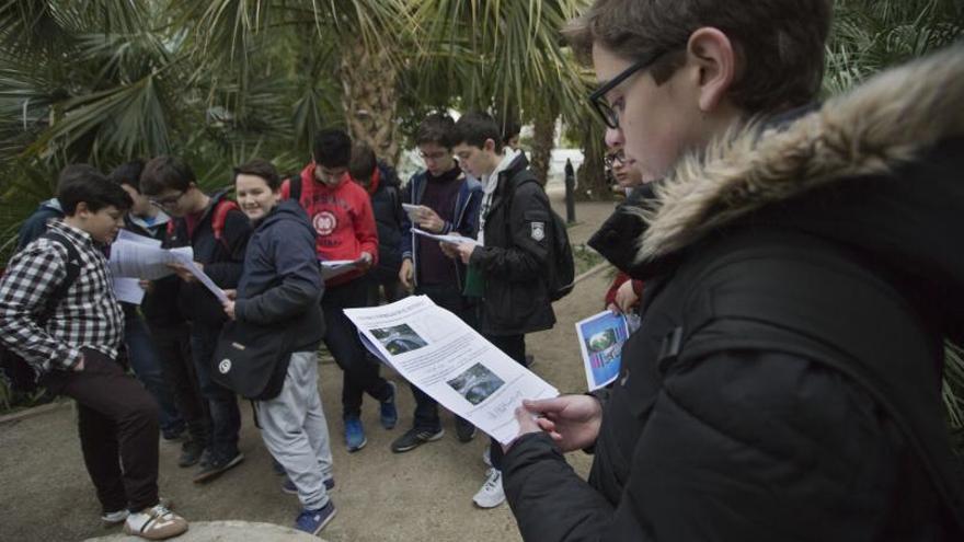 Una de les activitats habituals d’Estalmat és una visita al Jardí Botànic de València,  on continuen aprenent de Matemàtiques d’una manera lúdica. | LEVANTE-EMV