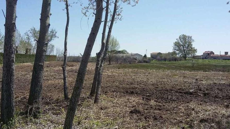 Medio Ambiente sanea la zona quemada junto al Ermitaño