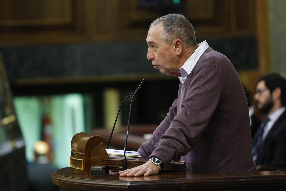 El diputado de Compromís, Joan Baldoví, en su intervención en el pleno del Congreso.