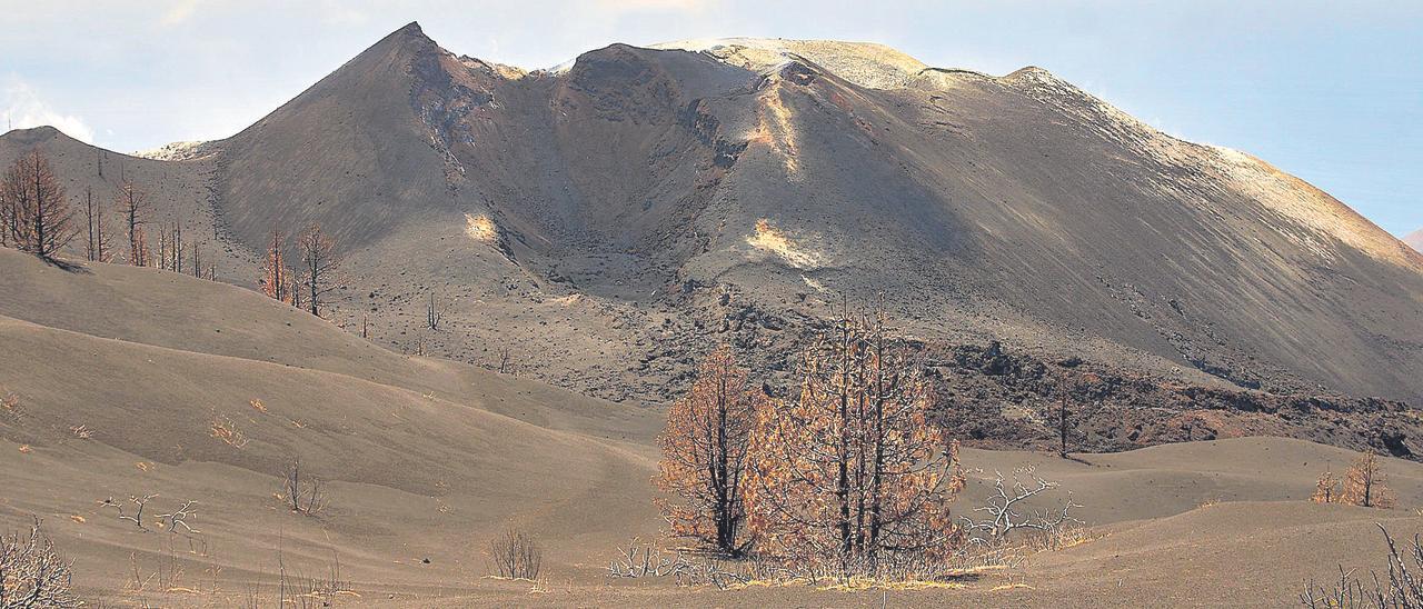 Imagen Visual que tienen los visitantes del cono.